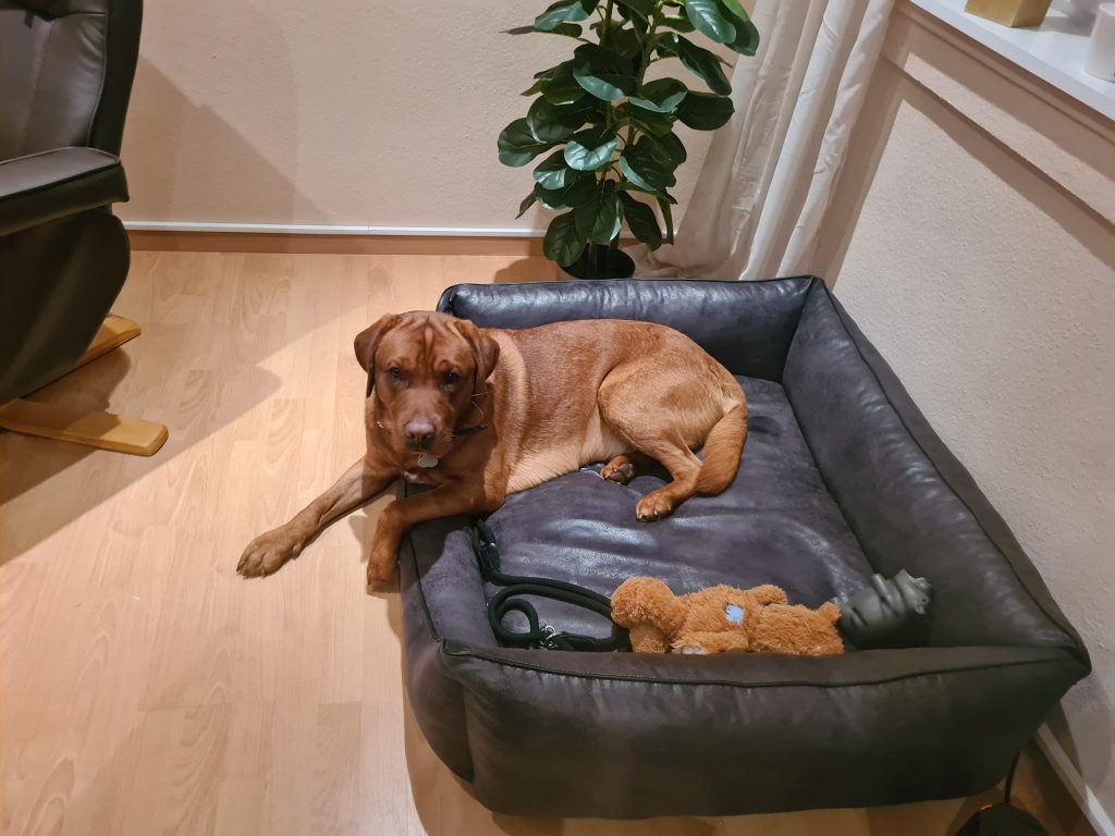 474014197_536078212808678_7216145920413971963_n - Praxis Bewusst-Sein