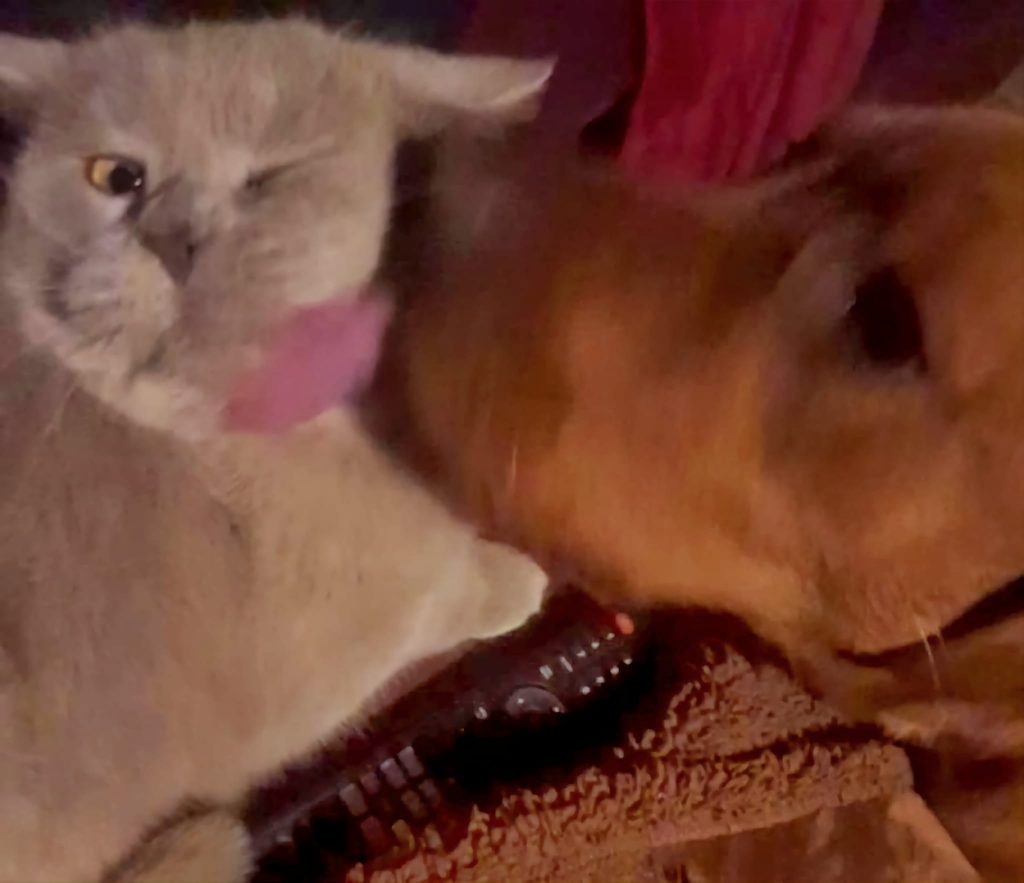 RemasterDirector_1a5c03258 - Praxis Bewusst-Sein